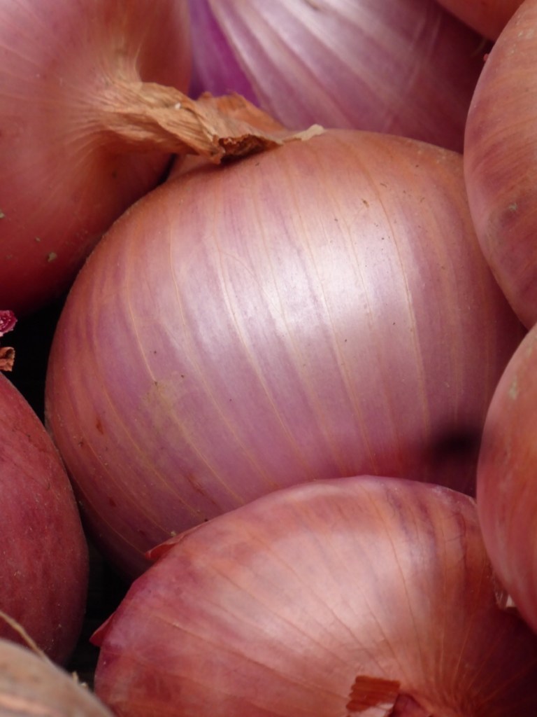 Ponte a Serraglio market