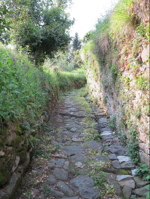 Mule trails Bagni di Lucca