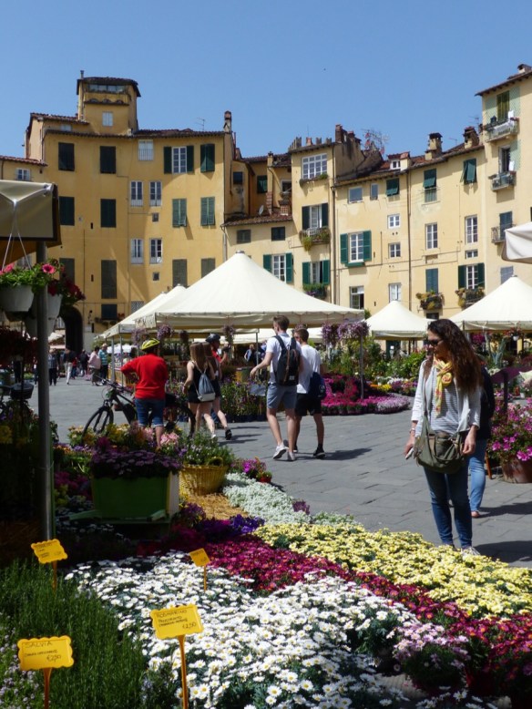Lucca