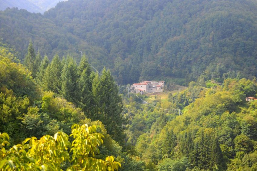 Tuscany Arts and Healing