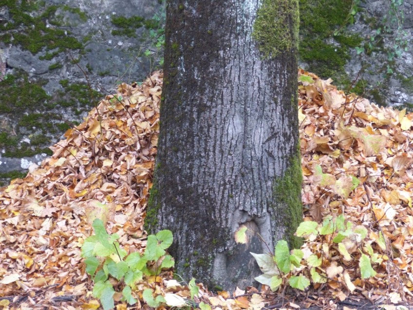 Autumn Bagni di Lucca