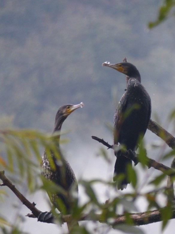 Autumn Bagni di Lucca