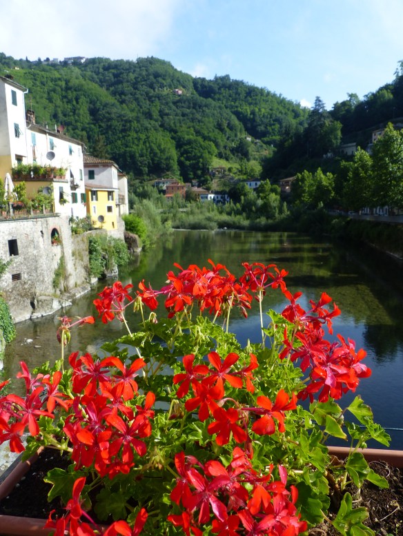 Geraniums Ponte a Serraglio