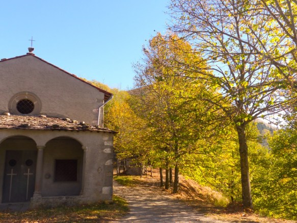 Autumn