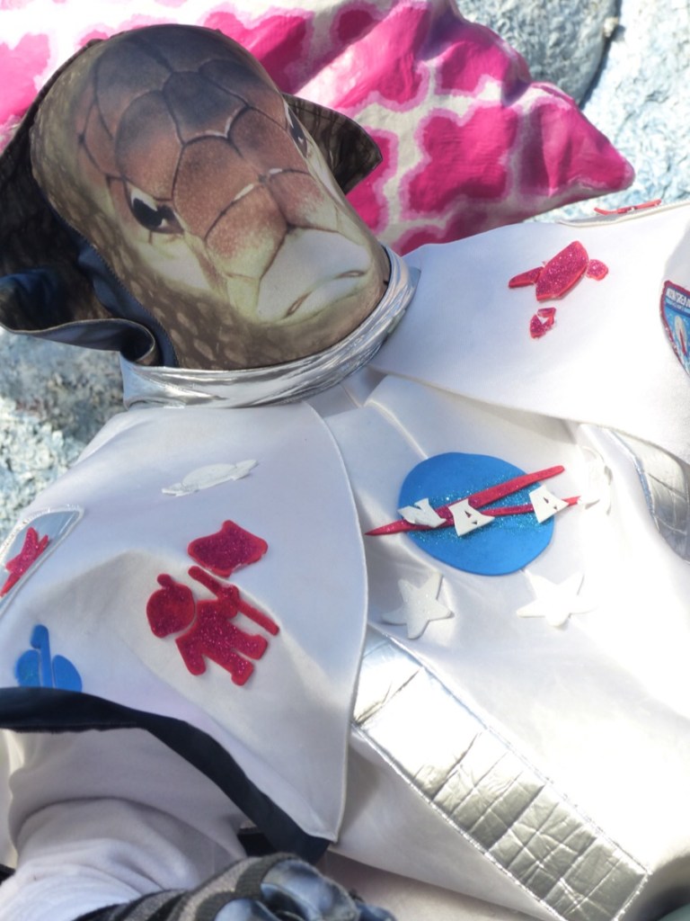 Carnevale Viareggio 2019